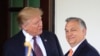 Hungary's Orban, a NATO outlier on Ukraine, talks 'peace mission' with Trump