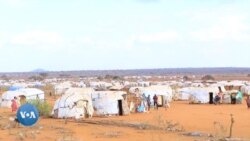 Abbootiin Gadaa Booranaa fi Gujii Hundeessamuu Godinaa Haaraa Hordofee Rakkoon Uumame Karaa Nagaa Furamuu Qaba, Jedhan