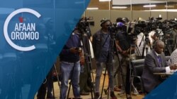 Tamsaasa Guyaadhaa Guyyaa