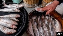 En Egypte, la monnaie locale a perdu la moitié de sa valeur en un an à la suite de dévaluations successives, mais, selon des analystes, elle est soutenue depuis le début de l'année dernière par le gouvernement, qui tente d'endiguer une inflation à 35%