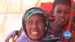 Guyyaa Dubartootaa Idil-Addunyaa Kanatti Dubartoonni Booranaa Miidhaa Hangee Hamaa Keessa Jiran Maal Jedhu?