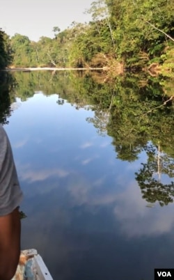 雨林2（拍摄：小白）