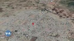 Haleellaa Wixata Hidhattootaan Dodolatti Taasifame Jedhameen Namootni 11 Ajjeefaman