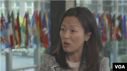 Чон Пак, високопосадовиця США, що займається питаннями Корейської Народно-Демократичної Республіки (КНДР) в Державному департаменті, заявила Голосу Америки про щонайменше 10 випадків використання північнокорейських ракет на полі бою в Україні.