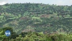 Horroo Guduruu, Aanaa Sulula Finca’aa Keessatti Namoonni Nagaan 4 Humnoota Mootummaatiin Ajjeesaman, Jedhu Maatii fi Namoonni Naannoo