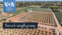 ဒီတပတ် အာရှစီးပွားရေး
