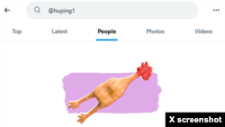 网友杨子立提供的搜索《北京之春》荣誉主编胡平推号失败的截图。这位网友指出，最近推特爆出很多中国异议人士被shadow ban， 也就是暗中作梗，让黑名单上的人的推文不可见，或者人搜不到。