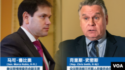 共和党联邦参议员鲁比奥和众议员史密斯11月28日针对中国多地爆发“白纸革命”发表共同声明。（美国之音制图）