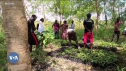 Urgence climatique: le combat de sensibilisation d'un réfugié sud-soudanais