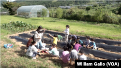 Students at Cheontae Elementary School learn agriculture skills, such as how to tend a garden. September 20, 2022.