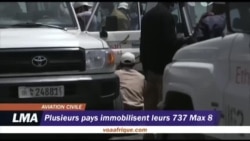 Plusieurs pays immobilisent leurs 737 Max 8