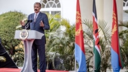 Exactions présumées au Tigré: le président érythréen dénonce "une usine de désinformation"