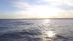 [미국을 만나다2] "나이야 가라!"