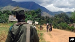 Soldat congolais en patrouille dans le Sud-Kivu, le 10 novembre 2009.