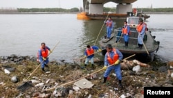 In March of 2013, over 2,200 pigs were found dead in one of Shanghai's main water sources.