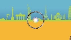 [글로벌 리포트] 운전자 상태 파악하는 AI 기술...벌에 장착한 초소형 센서로 생태계 연구