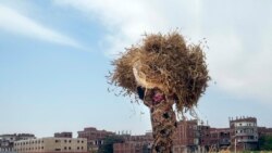 Appel du FMI à lutter contre la récession mondiale; l'Éthiopie s'apprête à exporter du blé