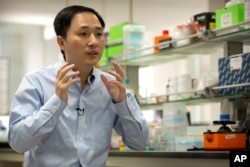 FILE - He Jiankui speaks during an interview at a laboratory in Shenzhen in southern China's Guangdong province, Oct. 10, 2018.