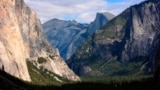 Spectators look at El Capitan for a glimpse of climbers Tommy Caldwell and Kevin Jorgeson on Wednesday, Jan. 14, 2015, as seen from the valley floor in Yosemite National Park, Calif. Caldwell and Jorgeson became the first to free-climb the rock formation'