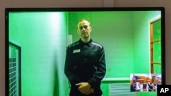 Алексей Навальный