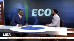 Les "soldats de la terre" en Centrafrique dans la chronique Eco