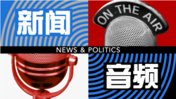 中国动物爱好者反对上海举办世界狗展