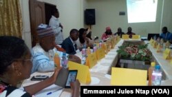 Assemblée générale du fonds social pour l'emploi à Yaoundé, le 3 décembre 2017. (VOA/Emmanuel Jules Ntap)