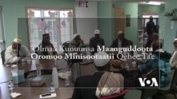 Oolmaa Maanguddoota Kunuunsuuf Minisootatti Dubartoota Oromootiin Dhabbate