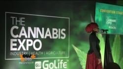 L'industrie du cannabis en plein essor