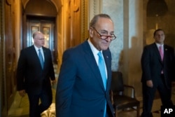 Senator Chuck Schumer at the Capitol Wednesday.