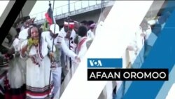 Tamsaasa Guyaadhaa Guyyaa