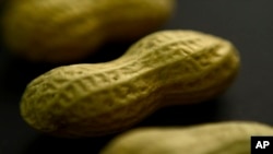 The U.S. food and drug agency has approved a medication already used to treat the breathing condition asthma to treat people for food allergies.