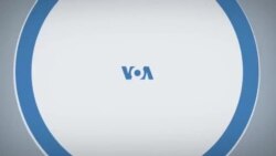 Итоги с Юлией Савченко 