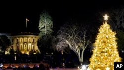 Різдвяна ялинка перед Білим домом