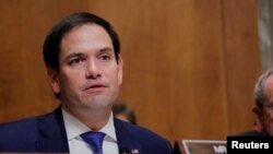 来自佛罗里达州的共和党参议员鲁比奥（Marco Rubio）在听证会上（2018年7月25日）