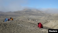 Scientists working at the site on Antarctica's Seymour Island where fossils of an Eocene frog were discovered. (Jonas Hagstrom/Swedish Museum of Natural History/Handout via REUTERS)