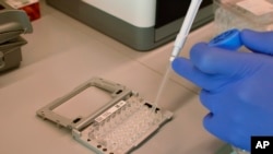 A scientist at the NY Genome Center in New York demonstrates equipment used in single-cell RNA analysis on Wednesday, Sept. 26, 2018.