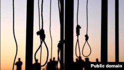 افغان حکومت وایي په دغو شپږو تنو باندې نن سهار د اعدام حکم تطبیق شو