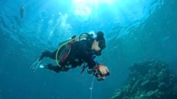 In this December 2019 photo provided by the Allen Coral Atlas, Alexandra Ordonez Alvarez, from University of Queensland, collects georeferenced data on the Great Barrier Reef's Ashmore Bank in Australia. (Chris Roelfsema/Allen Coral Atlas via AP)