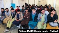 طالبانو د حکومت کډوالو او ستنیدونکو چارو وزارت ویلي چې دا افغانان اسلام اباد او پنډۍ ښارونو کې پولیسو نیولي وو چې د خوشې کیدو وروسته د تورخم له لارې افغانستان ته ستانه شوي. 