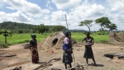 Report on Independence Benefits Filed By Loirdham Moyo