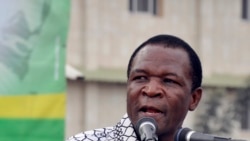 Thomas Borrel au micro de VOA Afrique