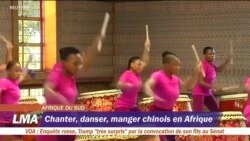 Une académie d'arts chinois en Afrique du Sud