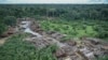 Are Brazil’s Rainforests in Danger?
