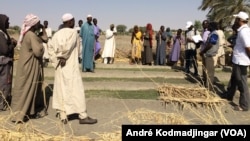 Le chef du Projet Fabio Castronovo s'entretient avec les bénéficiaires, Bol, le 15 novembre 2017. (VOA/André Kodmadjingar)