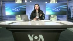 بي بي شیرینه: په ټیلې ویژن