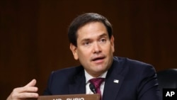 资料照：共和党联邦参议员鲁比奥（Sen. Marco Rubio, R-FL)在参议院情报委员会听证会发言。（2020年5月5日）