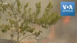 Les pompiers australiens confrontés à une recrudescence des feux