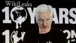 Julian Assange, lors d'une conférence de presse retransmise par vidéo, marquant le 10e anniversaire de WikiLeaks, le 4 octobre 2016