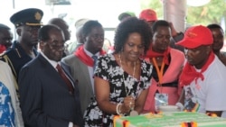 Interview With Effort Nkomo, Zanu-PF Activist On President Mugabe's New Role As Grandfather